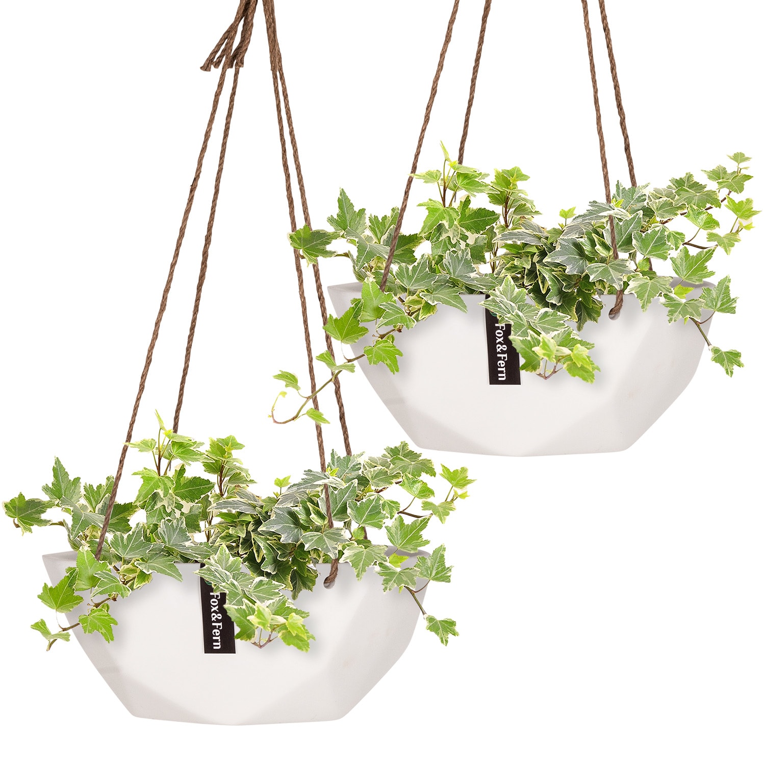 Blumfeldt Laren, viseći cvjetnjaci, Ø 28 cm, Polystone, prirodna užad, set od 2 komada