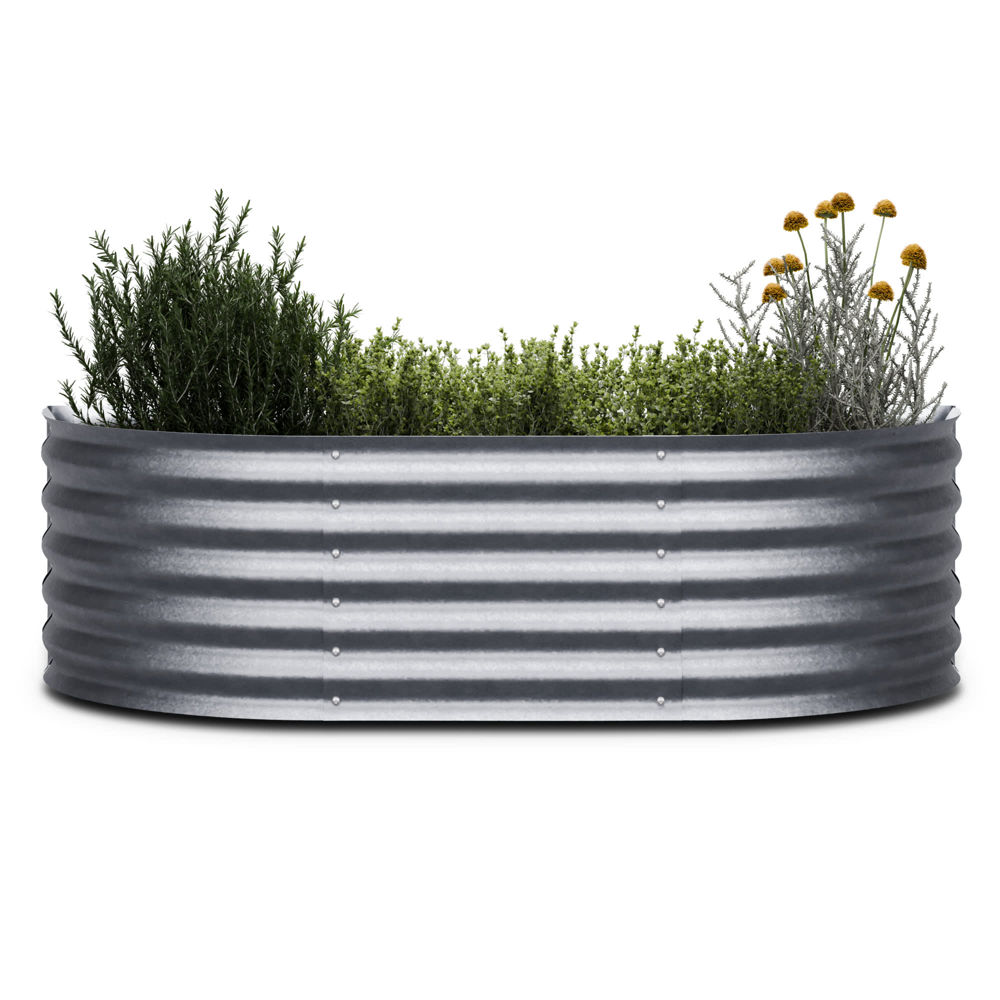 Blumfeldt High Grow, povišeni krevet, 150 x 43 x 60 cm, izrađen od valovitog čeličnog lima, jednostavan za sastavljanje, otporan na hrđu i mraz