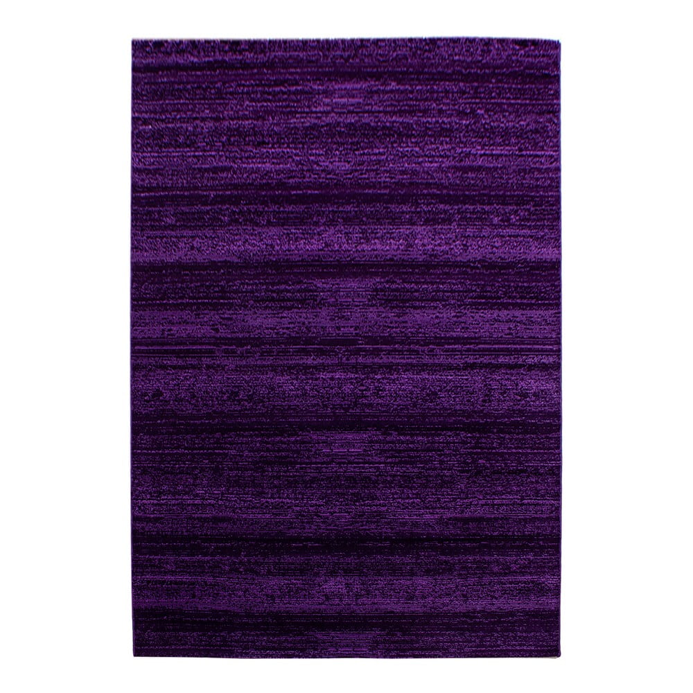 Tamno ljubičasti tepih 140x200 cm Plus – Ayyildiz Carpets