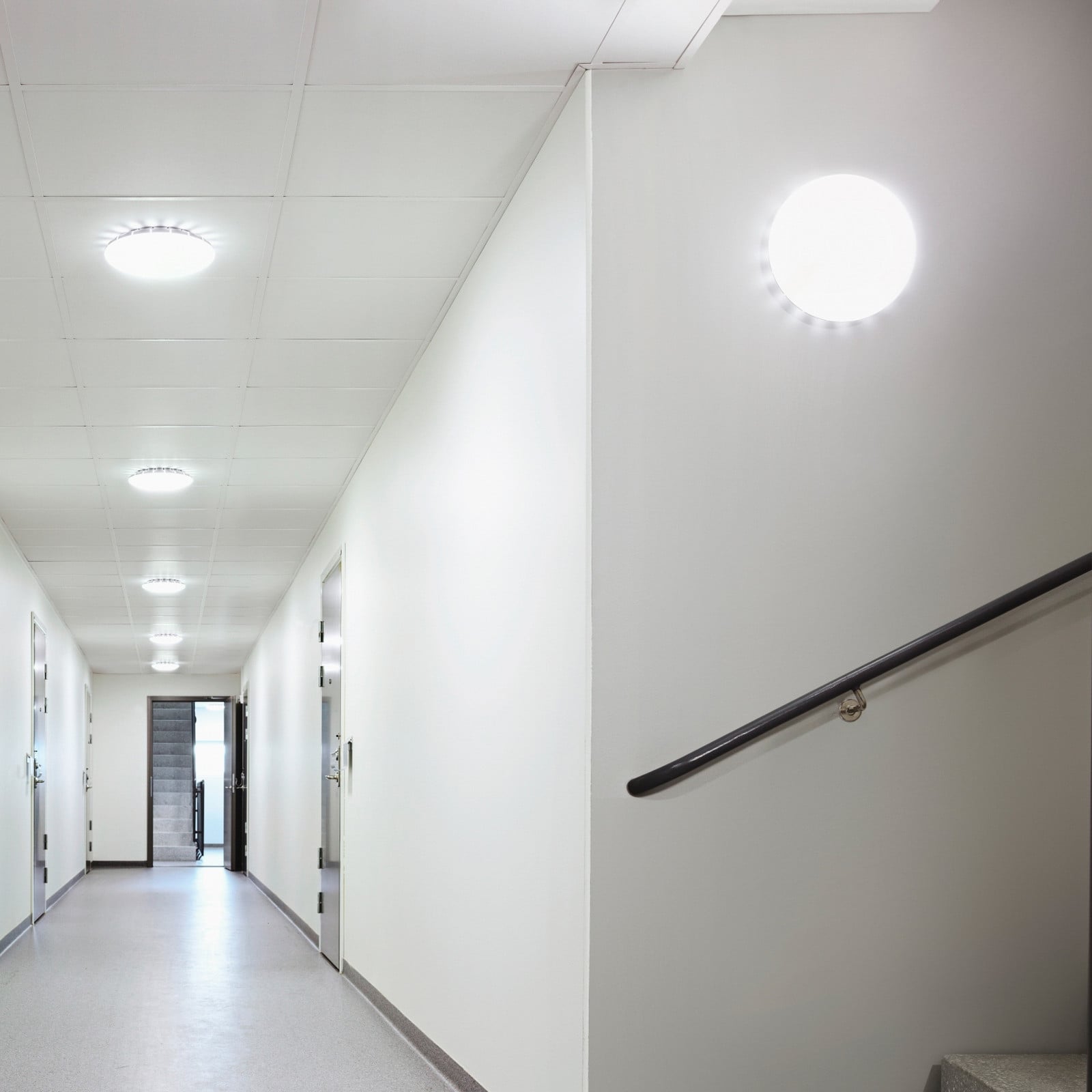 STEINEL RS Pro S20 SC senzorska stropna svjetiljka IP65 840