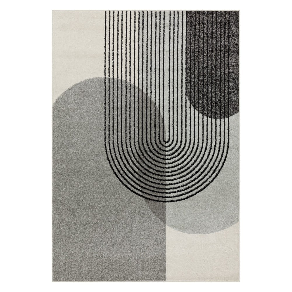 Sivi tepih 290x200 cm Muse - Asiatic Carpets