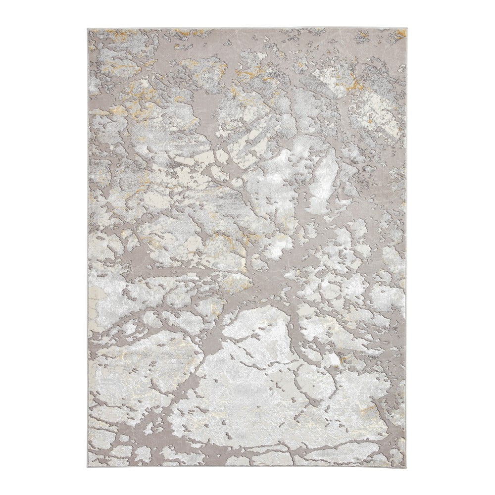 Sivo-zlatni tepih 220x160 cm Apollo - Think Rugs