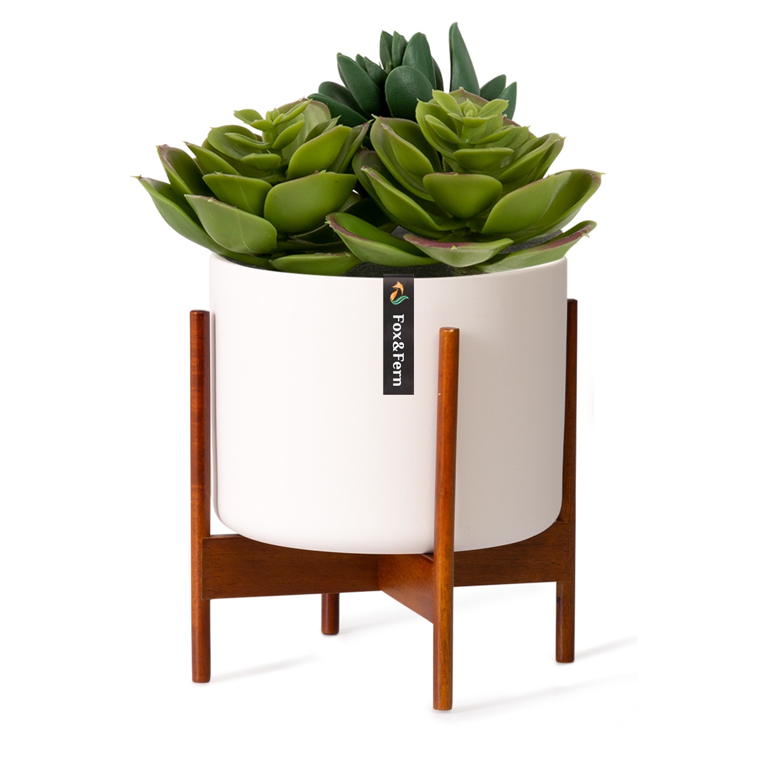 Fox & Fern Thorn, cvjetnjak, sa stalkom, u stilu 50 -ih, 2 veličine