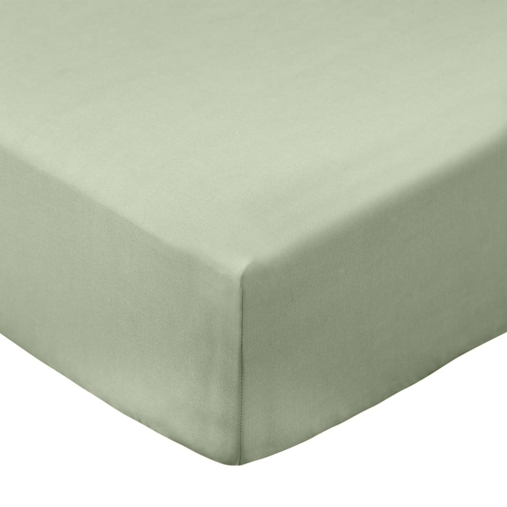 Zelena plahta s gumom od pamučnog perkala 90x190 cm Cotton Percale – Bianca